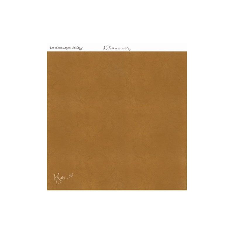 COLOR BÁSICO LAGO SERENO