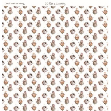 Colección completa Donde Viven las Hadas