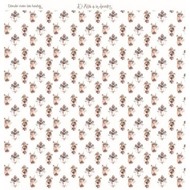 Colección completa Donde Viven las Hadas