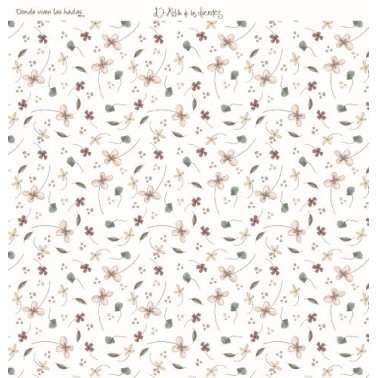 Colección completa Donde Viven las Hadas