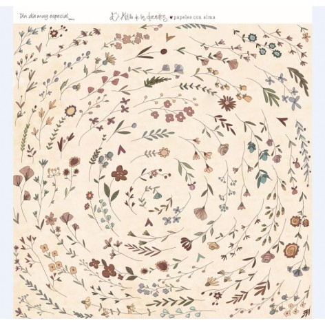 Colección Completa Un Día Especial Niña