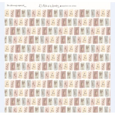 Colección Completa Un Día Especial Niña